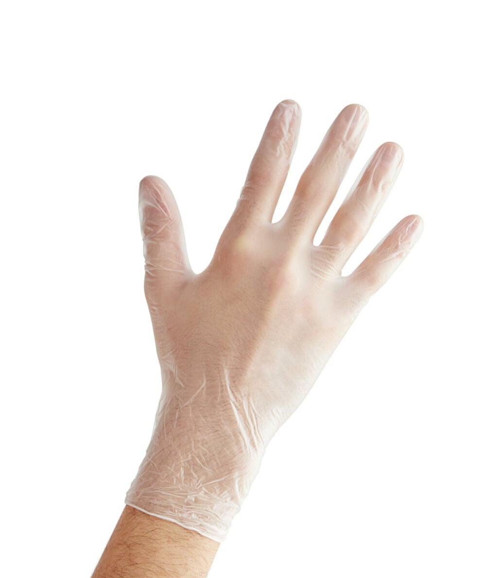 Large Powder free Vinyl Gloves - Image 1