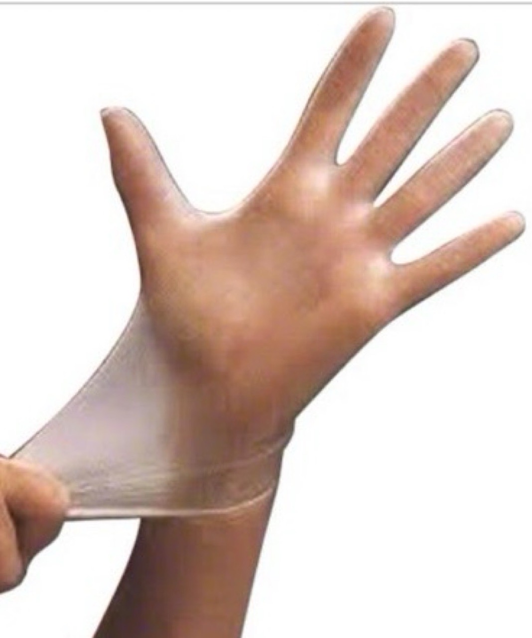 Volk ValueLine Vinyl Gloves - Latex-Free, Powder-Free, XL - Image 1