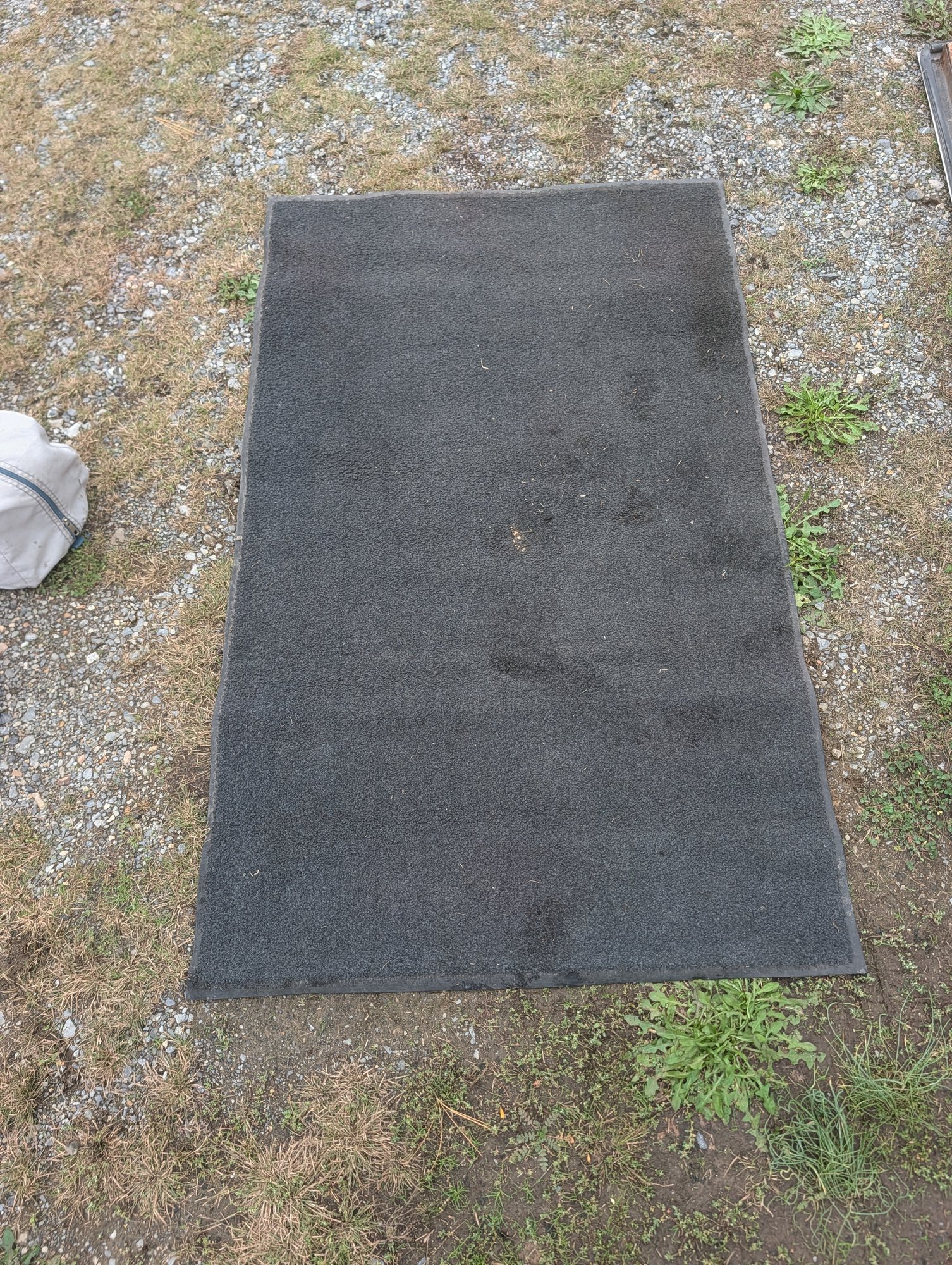 Black Carpet Entrance Mat 55" x 33" - Image 1