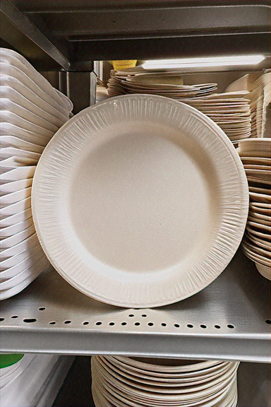 10" HEAVY WEIGHT PAPER PLATE - Image 1