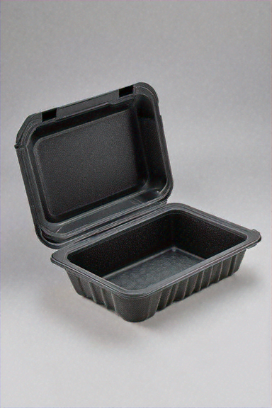 CONTAINER FOAM 9X6X3 BLACK - Image 1