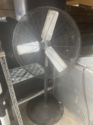 Fan